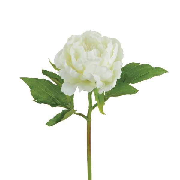 White Silk Peony, artificial peony, faux peony, white peony, white peonies, faux white peony, floral decor, Ferris Heart Sloane