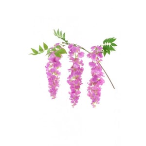 Artificial Silk Magenta Wisteria Spray 103cm faux wisteria, magenta flowers, wedding backdrop, floral stems, home decor