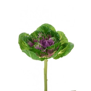 Artificial ornamental cabbage, ornamental cabbage, cabbage, faux cabbage stem, green cabbage stem, floristry cabbage, purple cabbage