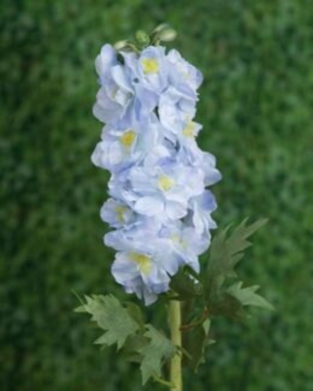 Artificial Double Pale Blue Delphinium, Faux Delphinium, Statement