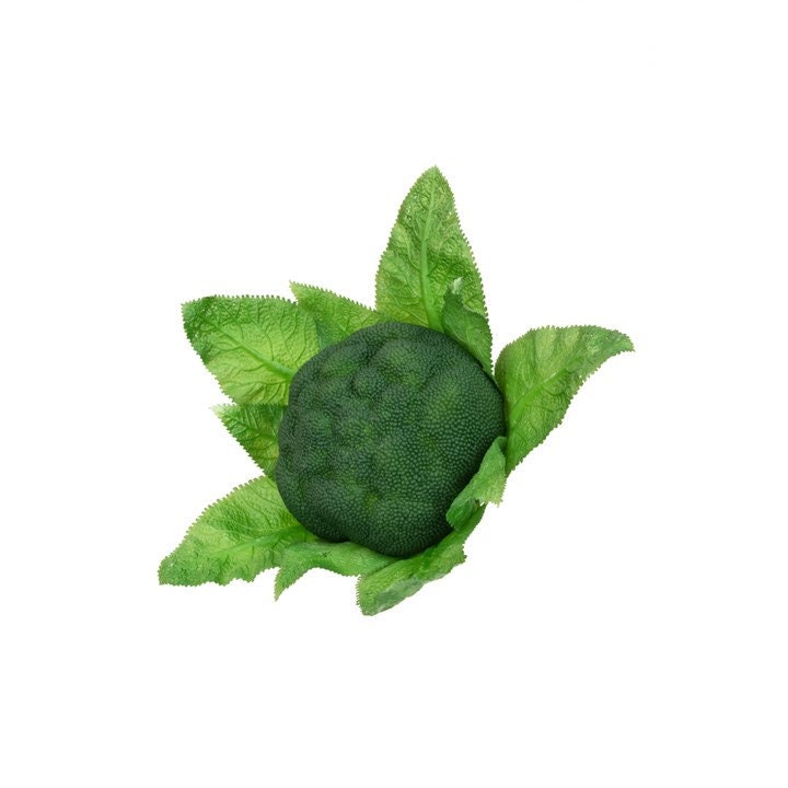 Fake Broccoli Artificial Broccoli, Faux Broccoli, Artificial Vegetable, Faux ...