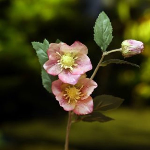 Artificial Pale Pink Hellebore Stem, faux hellebore, pink hellebore, Christmas rose