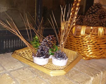 Yule Firestarter Tarts Herbal Infused Tarts Wax Firestarters Wax Melt Fire Starters Scented Fireplace Tarts Yule Logs Yule Ritual Tart