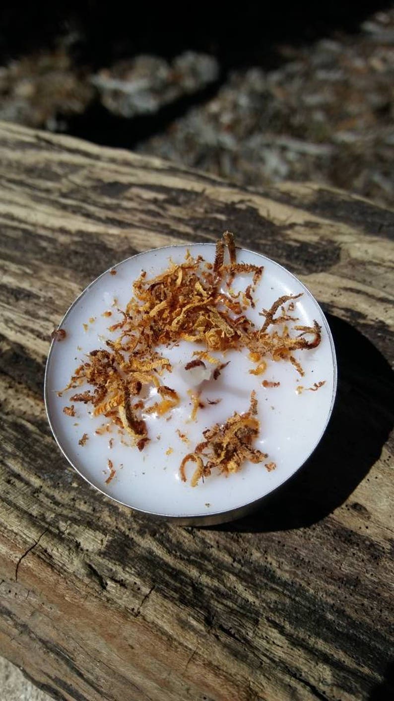 May include: A white tea light candle with a melted wax pool and brown wood shavings on top.