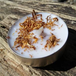 May include: A white candle with wood shavings on top, sitting on a weathered wooden surface.