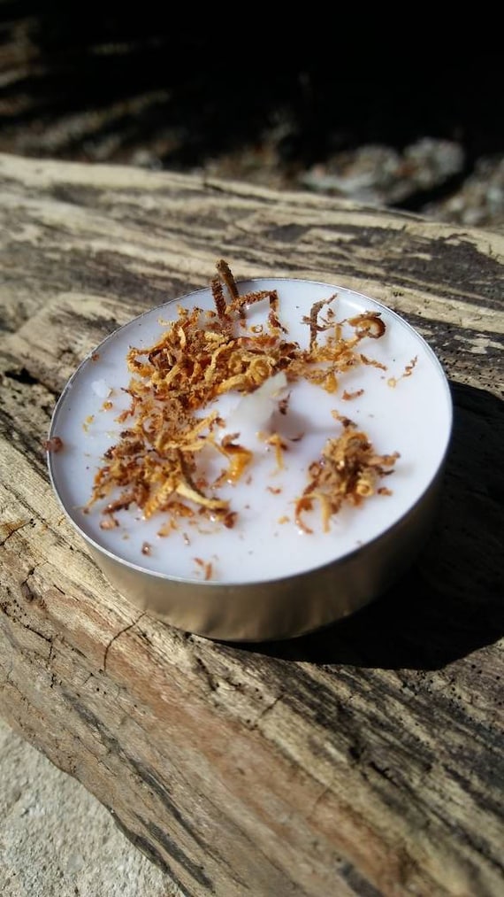 Palo Santo, Ritual Tea Lights, set of six, cleansing candles, protection candles, spell work candles, altar candles, holy wood tea light