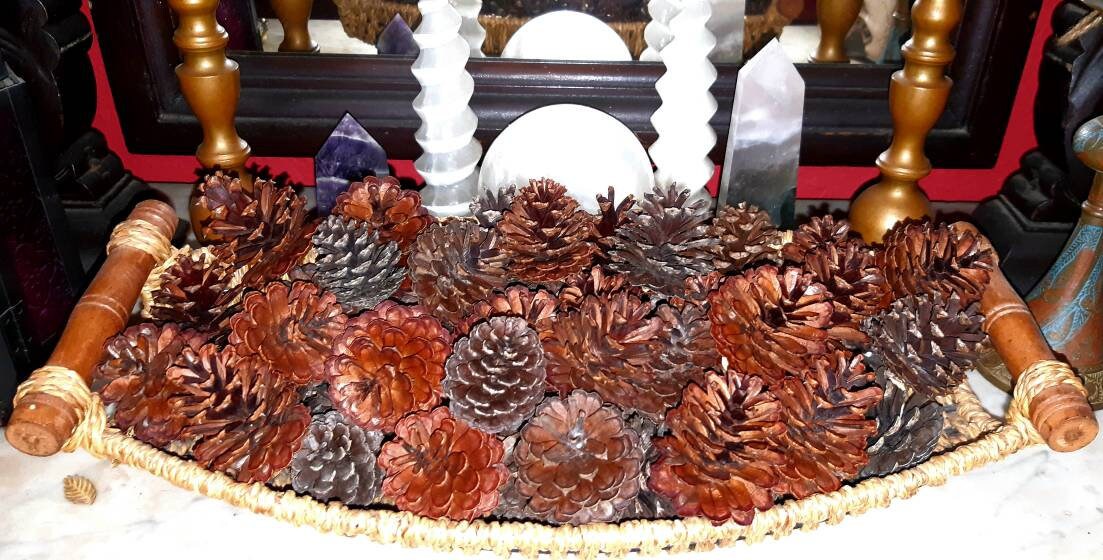 Are Scented Pine Cones Bad For Dogs