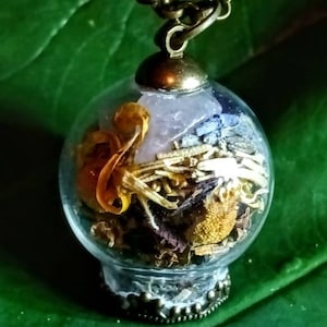 May include: A glass orb pendant necklace with a brass chain. The orb is filled with dried flowers and herbs, including a pink crystal.