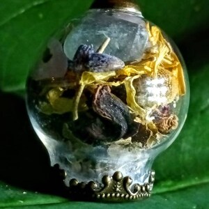 May include: A gold chain necklace with a clear glass pendant containing dried flowers and herbs. The pendant has a gold crown-shaped base.