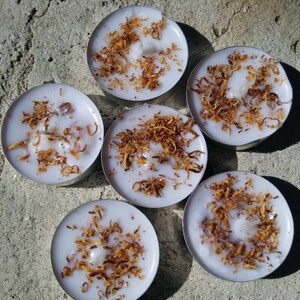 May include: Six white tea light candles with a brown, flaky topping. The candles are arranged in a circle on a gray concrete surface.