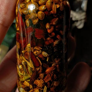 May include: A glass bottle filled with a golden liquid and various herbs and seeds. The bottle has a black lid and is held in a hand.