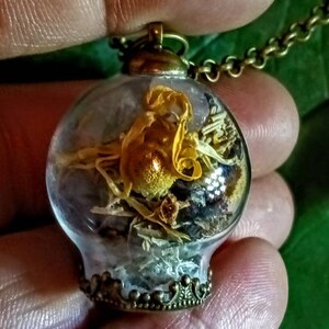 May include: A glass pendant necklace with a bronze chain and a round glass orb containing dried flowers and herbs. The orb has a decorative bronze rim.