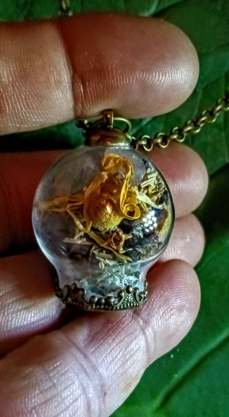 May include: A glass pendant necklace with a bronze chain and a round glass orb containing dried flowers and herbs. The orb has a decorative bronze rim.