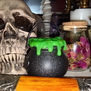 May include: A black cauldron with a green slime-like substance on top, a skull, a glass jar with dried rose petals, and a silver goblet on a table.