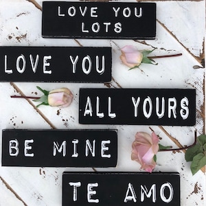 May include: Five black wooden signs with white lettering. The signs read "Love You Lots", "Love You", "All Yours", "Be Mine", and "Te Amo".