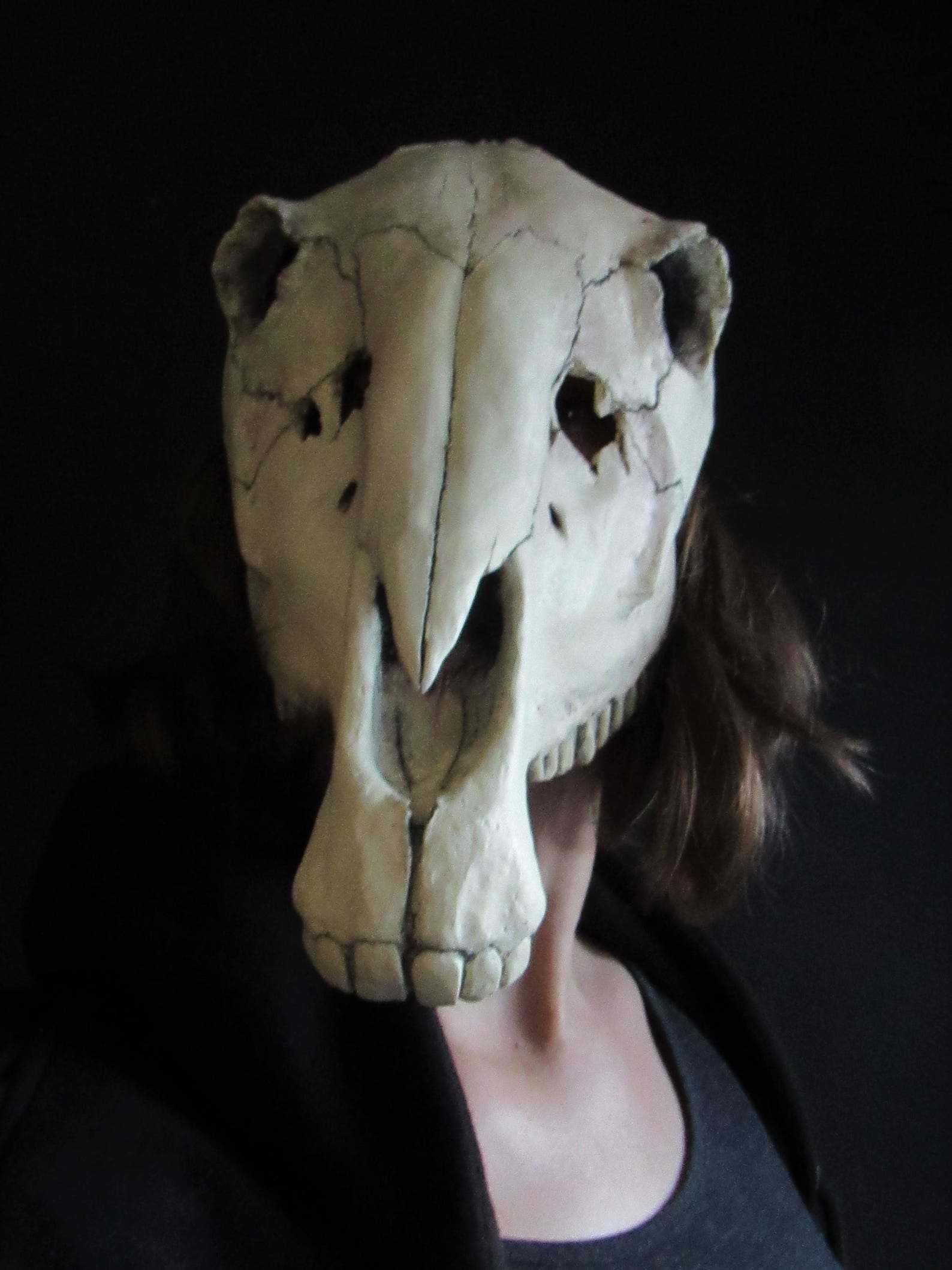 Horse skull mask shaman animal cosplay accessories Etsy