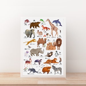 May include: A colorful alphabet chart featuring animals from A to Z. Each animal is illustrated with a watercolor style and labeled with its German name and the corresponding letter. For example, "Aa - der Affe" (the monkey).