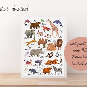 May include: A colorful alphabet chart featuring animals from A to Z. Each animal is illustrated with a watercolor style and labeled with the corresponding letter and German word for the animal. The chart is designed to fit in an IKEA frame.