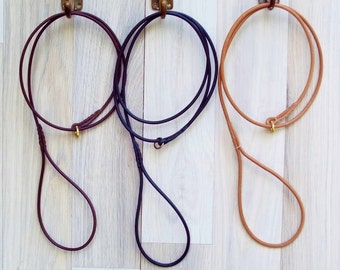 dog show collars and leads