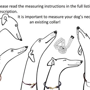 Please measure your dog's neck