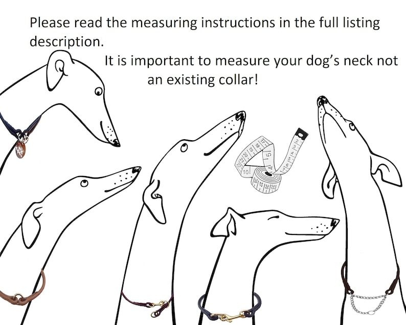Please measure your dog's neck