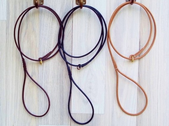 Leather dog show leads sales