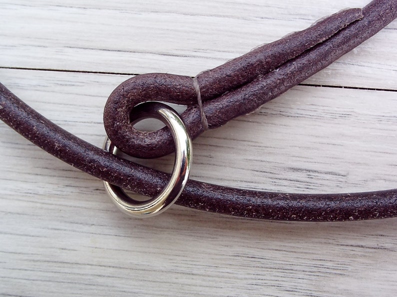 Detail of brown slip collar with chrome ring
