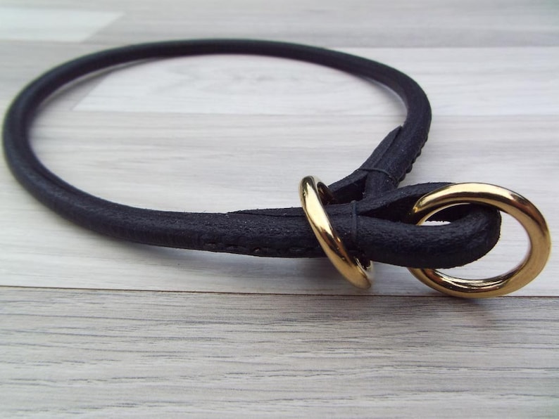 Black slip collar with brass rings