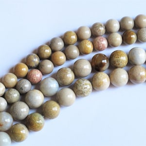 Genuine Coral fossil round beads 6mm/ 8mm/10mm.  Unique natural healing gemstone beads 15.5&#39;&#39;. Vintage stock from 2000
