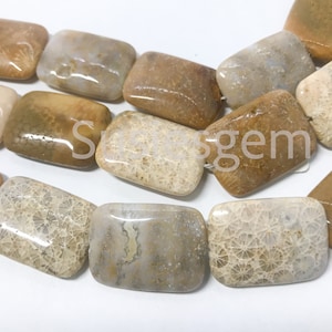 Natural coral fossil rectangle beads 18x25mm, Petrified Fossil Coral beads, Natural gemstone. Focal beads.