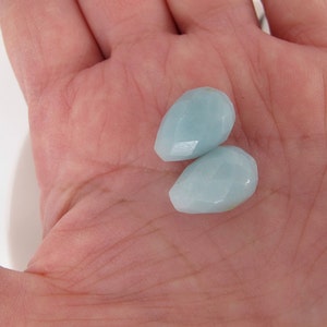May include: Two light blue teardrop-shaped gemstones.