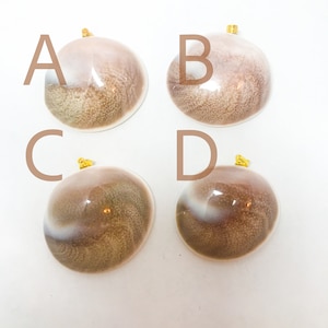 May include: Four iridescent shell ornaments with gold accents. Each ornament has a unique pattern of brown and white swirls.