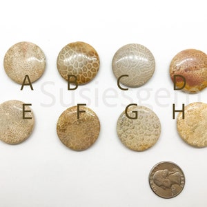Natural coral fossil coin beads 30mm, Petrified Fossil Coral beads, Natural gemstone. Focal beads.