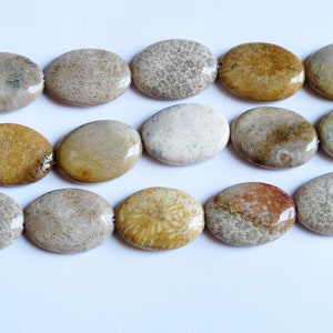 Natural coral fossil over beads 18x25mm, Petrified Fossil Coral beads, Natural gemstone. Focal beads. Vintage stock from 2000&#39;