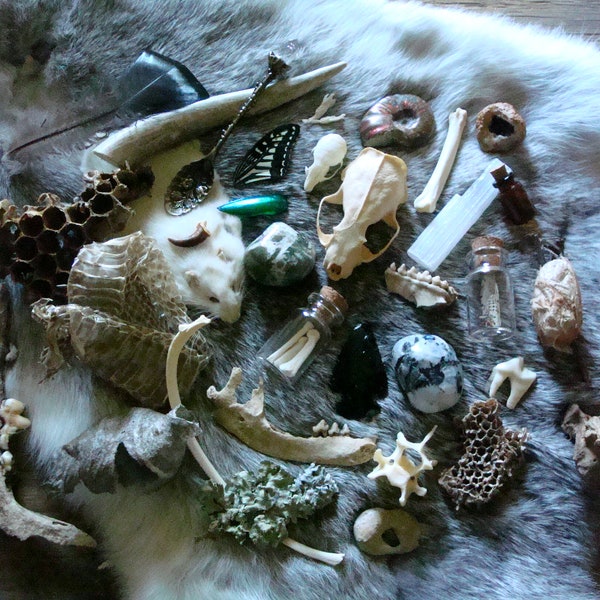 10 Item Natural History Curiosities Mystery Box ~ Oddities Box, Nature Collection, Bones, Fossils, Natural History Specimens, Skull Box