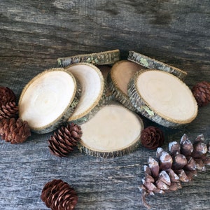 May include: A collection of natural wood slices with bark edges, arranged with several brown pine cones on a weathered wooden surface. The wood slices have a light, unfinished appearance.