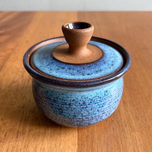 May include: A blue ceramic lidded jar with a brown handle. The jar has a speckled blue glaze and a dark brown rim. The handle is a light brown color. The jar is sitting on a wooden surface.