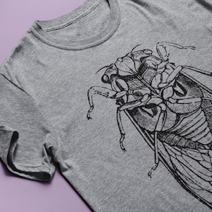 Cicada T-shirt S-XXL Men/Women Vintage Entomology Engraving, Insect, Enlightenment, Science, Cool Gift