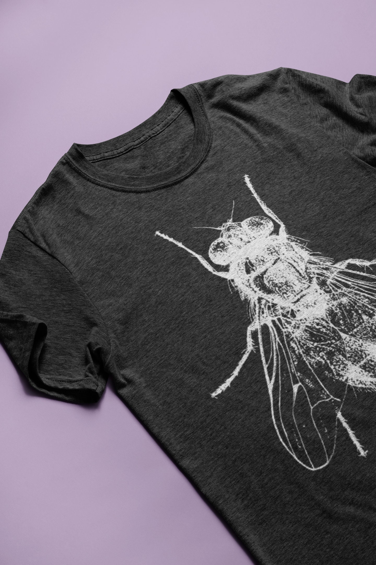 House Fly white T-shirt S-XXL Vintage Entomology Drawing, Insect, Enlightenment, Science, Cool Gift - Etsy House Fly white T-shirt S-XXL Vintage Entomology Drawing, Insect, Enlightenment, Science, Cool Gift - Etsy
