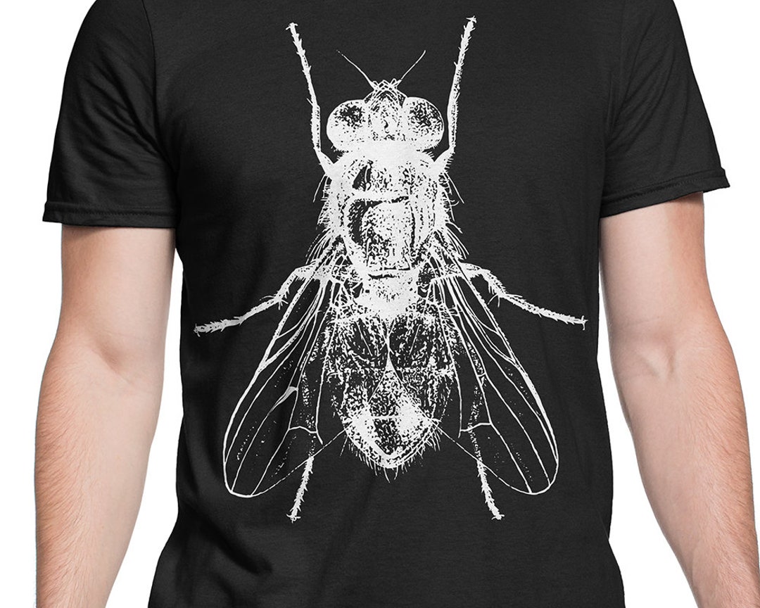 House Fly white T-shirt S-XXL Vintage Entomology Drawing, Insect, Enlightenment, Science, Cool Gift - Etsy House Fly white T-shirt S-XXL Vintage Entomology Drawing, Insect, Enlightenment, Science, Cool Gift - Etsy