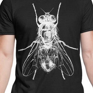 Husfluga (vit) T-shirt S-XXL Vintage entomologiteckning, insekt, upplysning, vetenskap, cool present