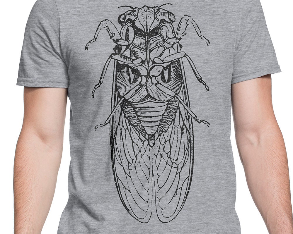 Cicada T-shirt S-XXL Men/women Vintage Entomology Engraving - Etsy