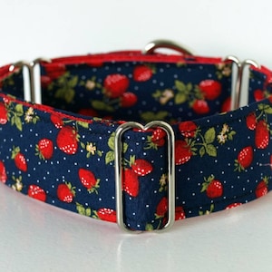 Martingale Dog Collar. Strawberry