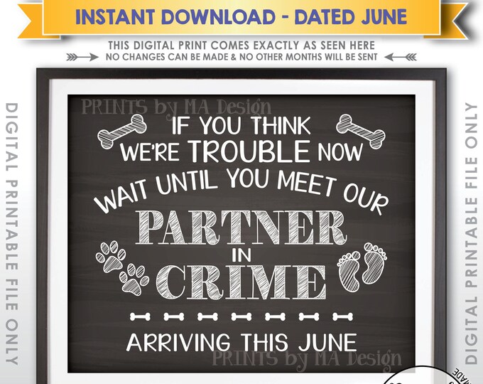Dog Pregnancy Announcement, Partners in Crime, Meet Our Partner in Crime in JUNE Dated Chalkboard Style PRINTABLE Baby Reveal Sign <ID>