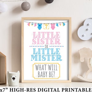 Signo o tarjeta de fiesta de revelación de género, pequeño señor o hermanita, niño o niña, invitación rosa o azul, archivo digital IMPRIMIBLE de 5x7" <ID>