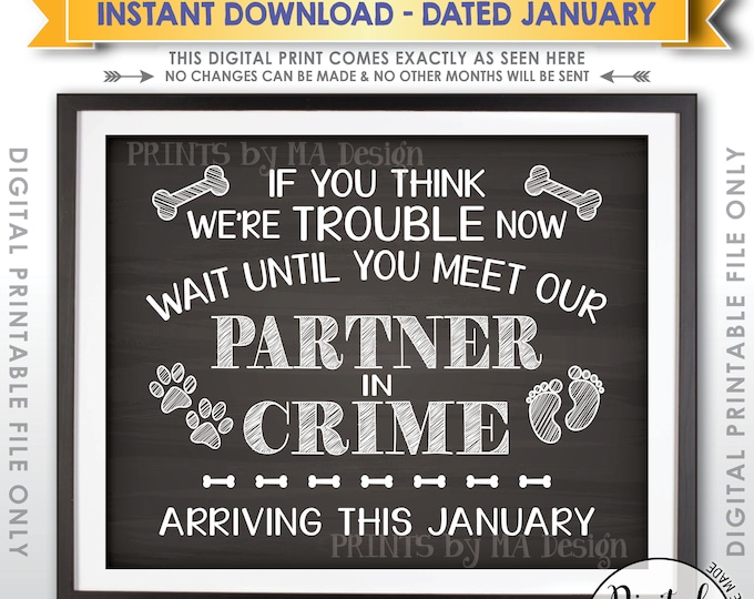 Partners in Crime Dog Pregnancy Announcement, Meet Our Partner in Crime in JANUARY Dated Chalkboard Style PRINTABLE Baby Reveal Sign <ID>