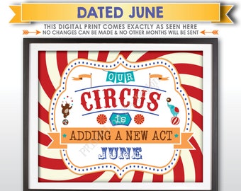 Circus Pregnancy Announcement, Our Circus is Adding a New Act in JUNE Dated PRINTABLE Baby Reveal Carnival Sign, We're Pregnant Again <ID>