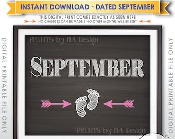 It's a Girl Gender Reveal Pregnancy Announcement, Pink, Subtle Gender Reveal, Due in SEPTEMBER Dated Chalkboard Style PRINTABLE Sign <ID>