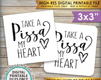 Pizza Labels, Take a Pizza My Heart Valentine's Day Pizza Box Labels, Wedding Pizza, Instant Download PRINTABLE 3x3" Labels on 8.5x11" sheet