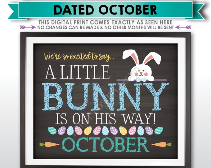 Easter Pregnancy Announcement Gender Reveal, Excited A Little Bunny Boy is on the Way in OCTOBER dated PRINTABLE Chalkboard Style Sign <ID>